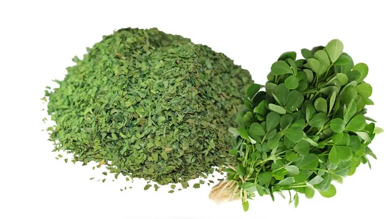 DRIED VEGETABLES -  Super Export Dried Vegetables - Fenugreek (5 Kg in Box) 