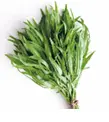 DRIED VEGETABLES -  Super Export Dried Vegetables - Tarragon (1 Kg)