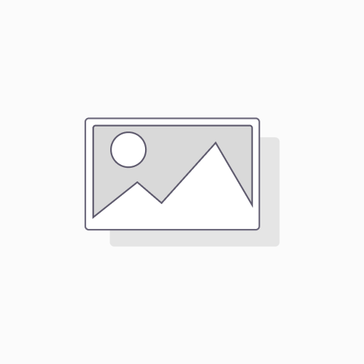 ترشی سون - کیسه آلوقهوه ای سون - 5000 گرمی