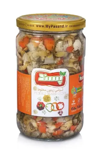 PASAND - Mixed Olive Pickles (660 gr - 12 in Box) 