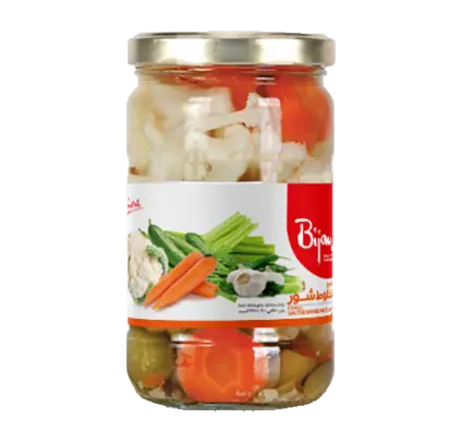 BIJAN - Salty Mix Pickles (630 gr - 12 in Box) 